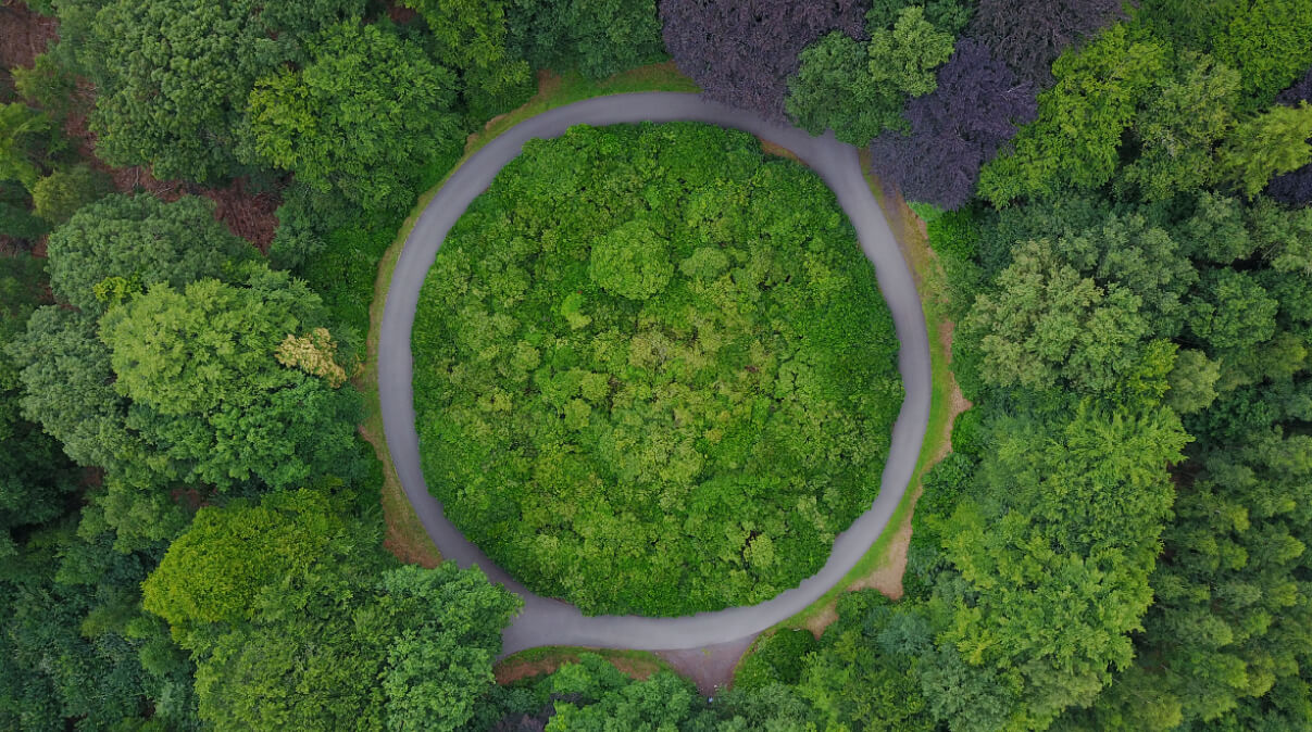 Overhead view of circular road in forest