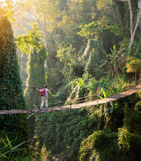 Man walking across rickety bridge over gorge in verdant rainforest