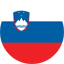 ce-slovenia-flag.png (64×64)