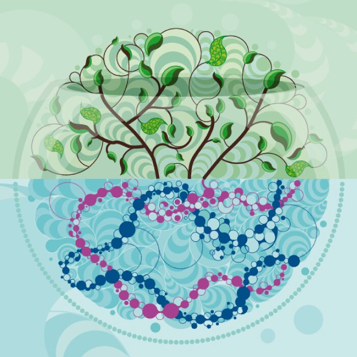 leaves and petri dish illustration 