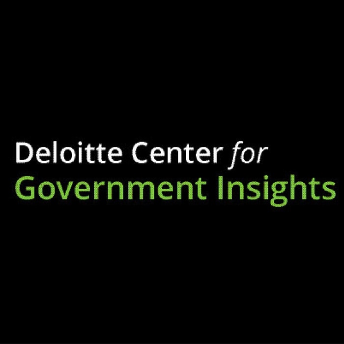 Deloitte Center for Government Insights