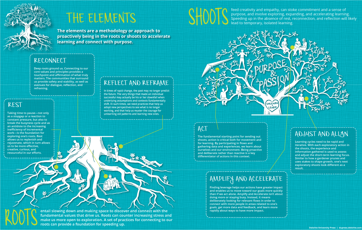 The elements: “How” learning happens in the Roots and Shoots cycle