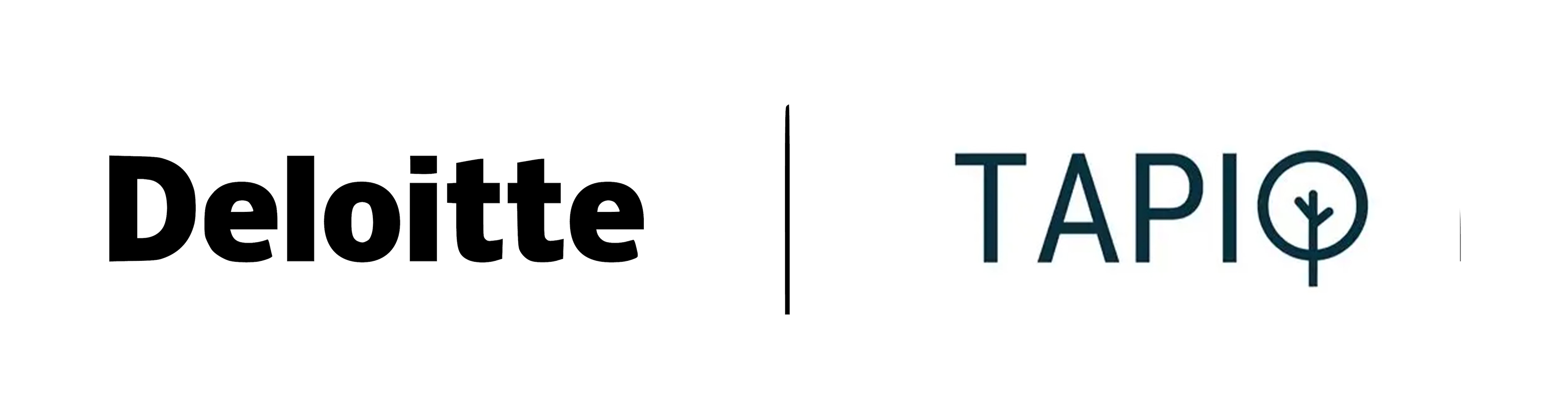 Deloitte Tapio logo