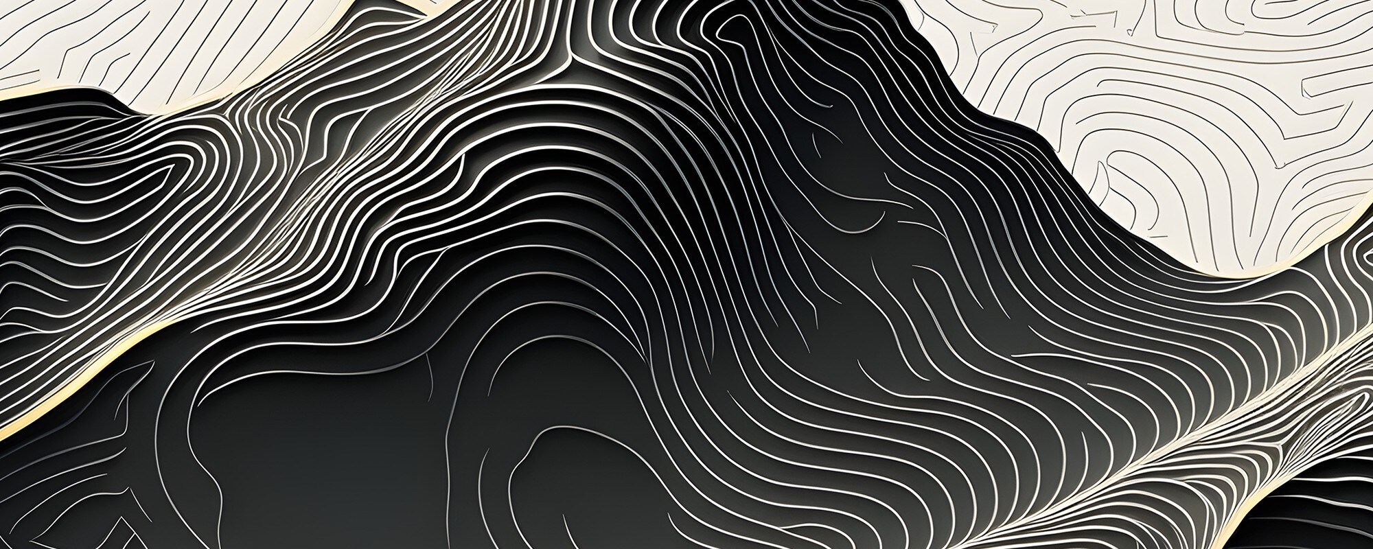 black and white mountains with a maze of lines